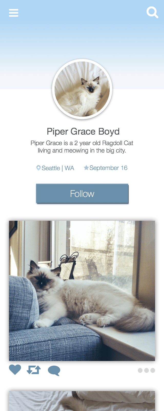 User Profile - Cat - image 4 - student project