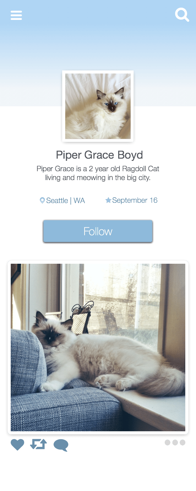 User Profile - Cat - image 2 - student project