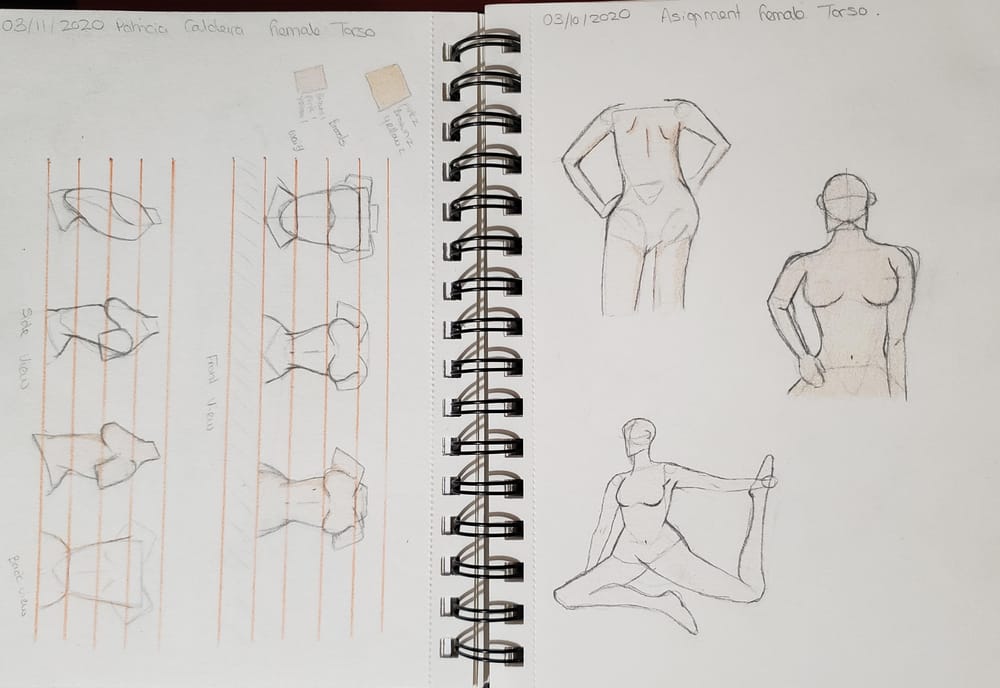 Female Torso Practice - image 2 - student project