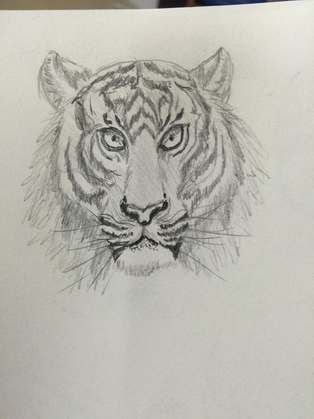 Giving drawing another chance after 35 plus yrs. - image 11 - student project