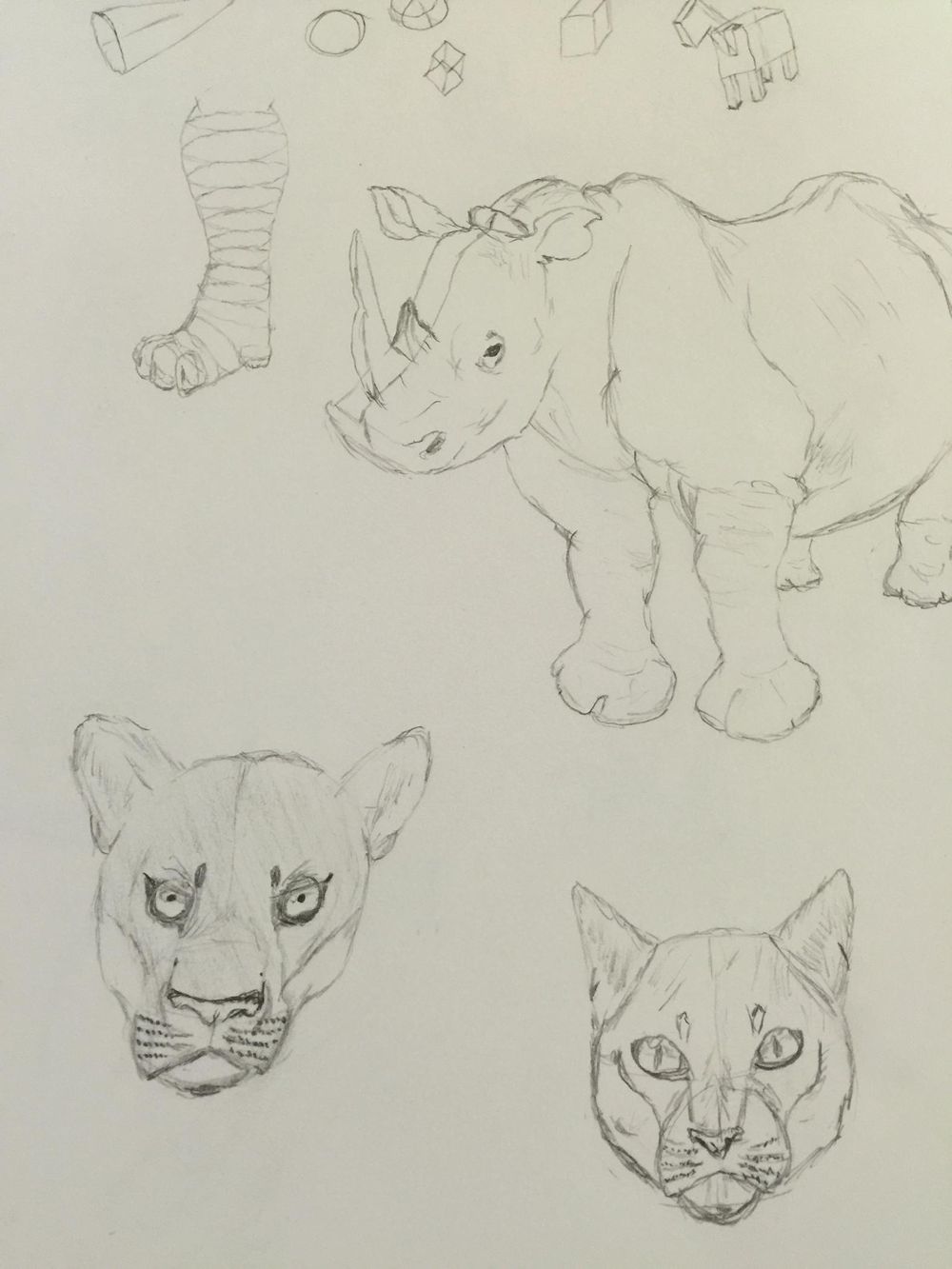 Giving drawing another chance after 35 plus yrs. - image 2 - student project