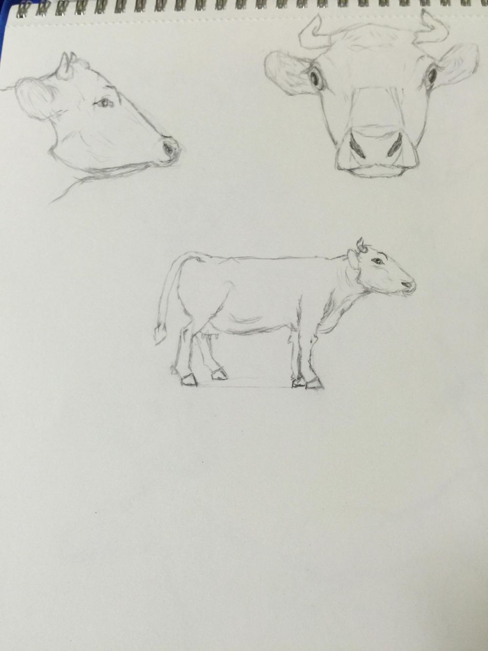 Giving drawing another chance after 35 plus yrs. - image 6 - student project