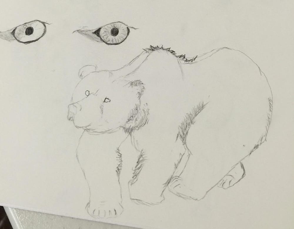 Giving drawing another chance after 35 plus yrs. - image 10 - student project