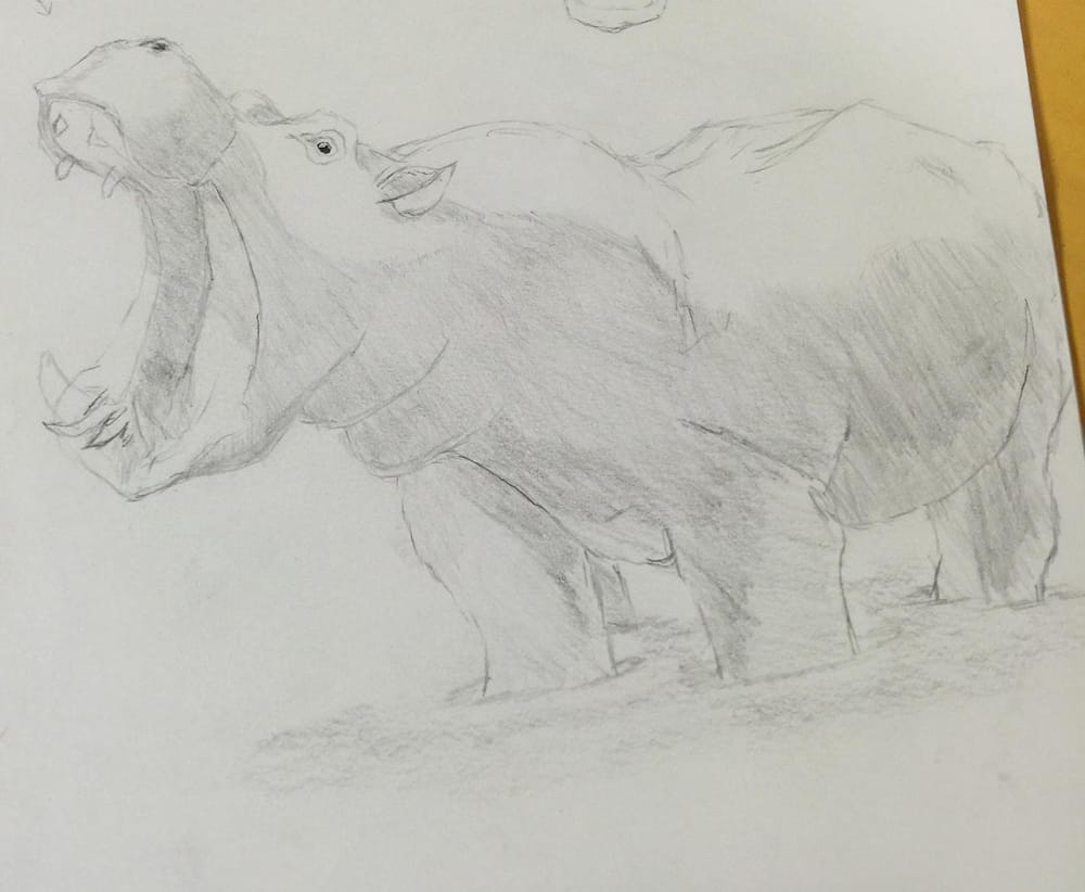 Giving drawing another chance after 35 plus yrs. - image 9 - student project