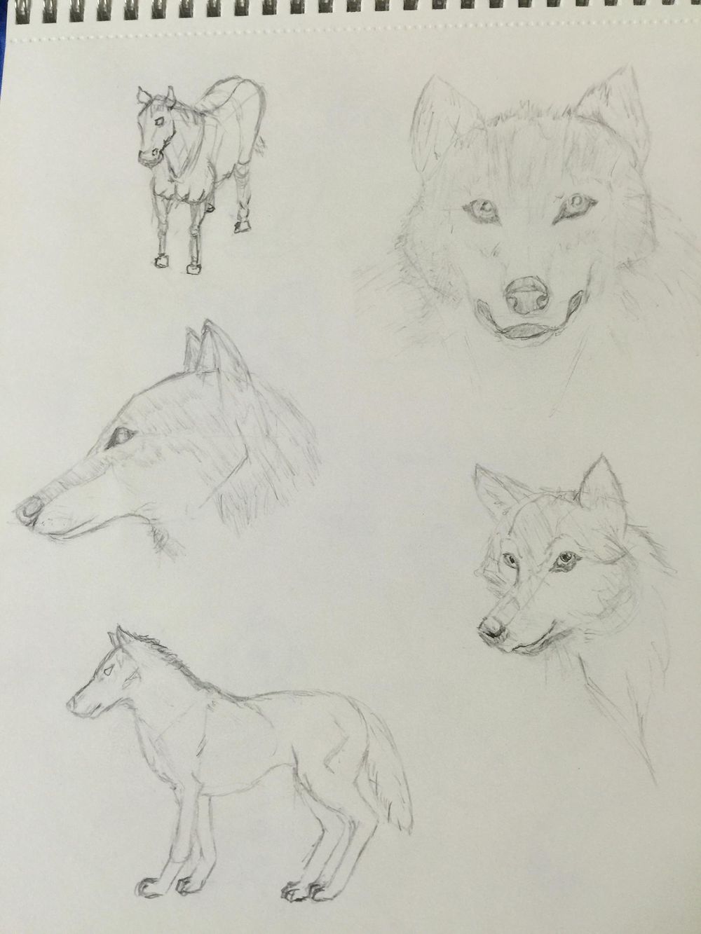 Giving drawing another chance after 35 plus yrs. - image 5 - student project