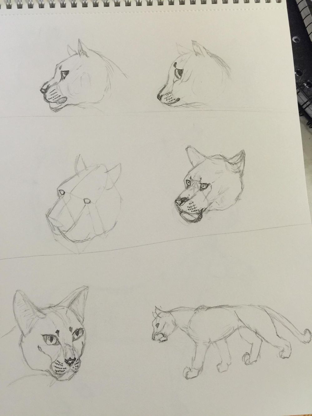 Giving drawing another chance after 35 plus yrs. - image 3 - student project