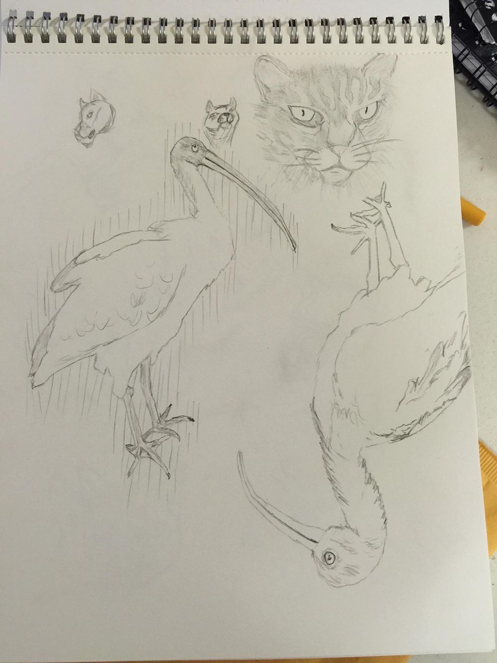 Giving drawing another chance after 35 plus yrs. - image 1 - student project
