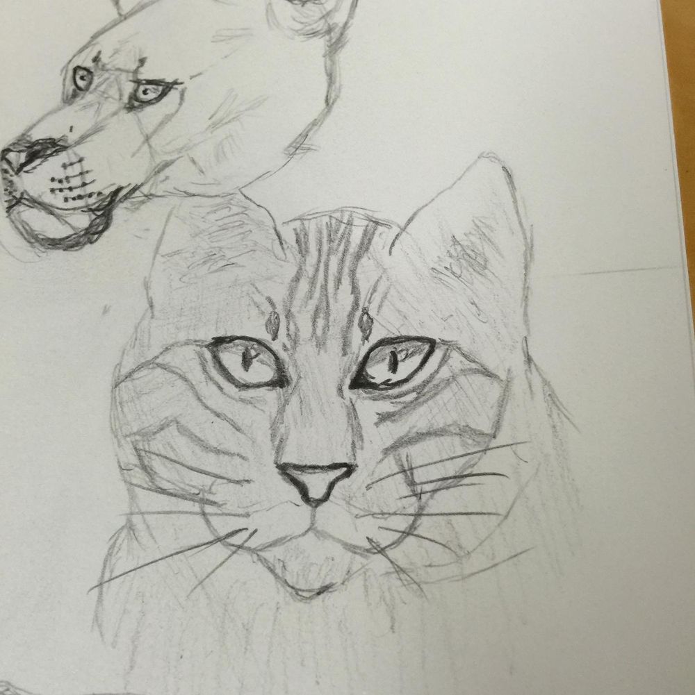 Giving drawing another chance after 35 plus yrs. - image 8 - student project