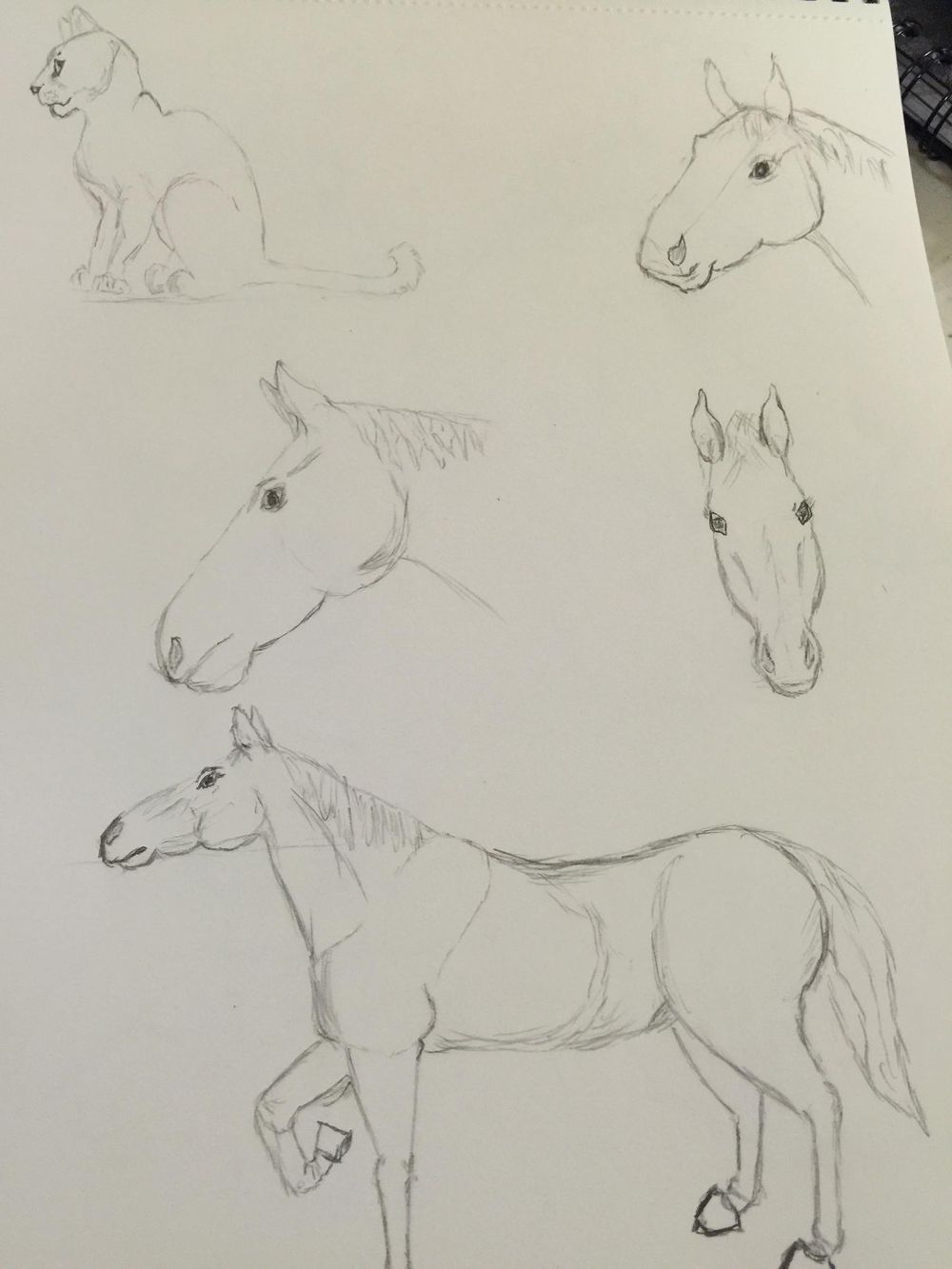 Giving drawing another chance after 35 plus yrs. - image 4 - student project