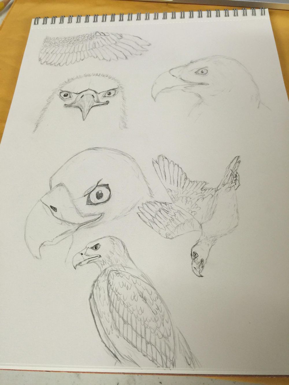 Giving drawing another chance after 35 plus yrs. - image 7 - student project