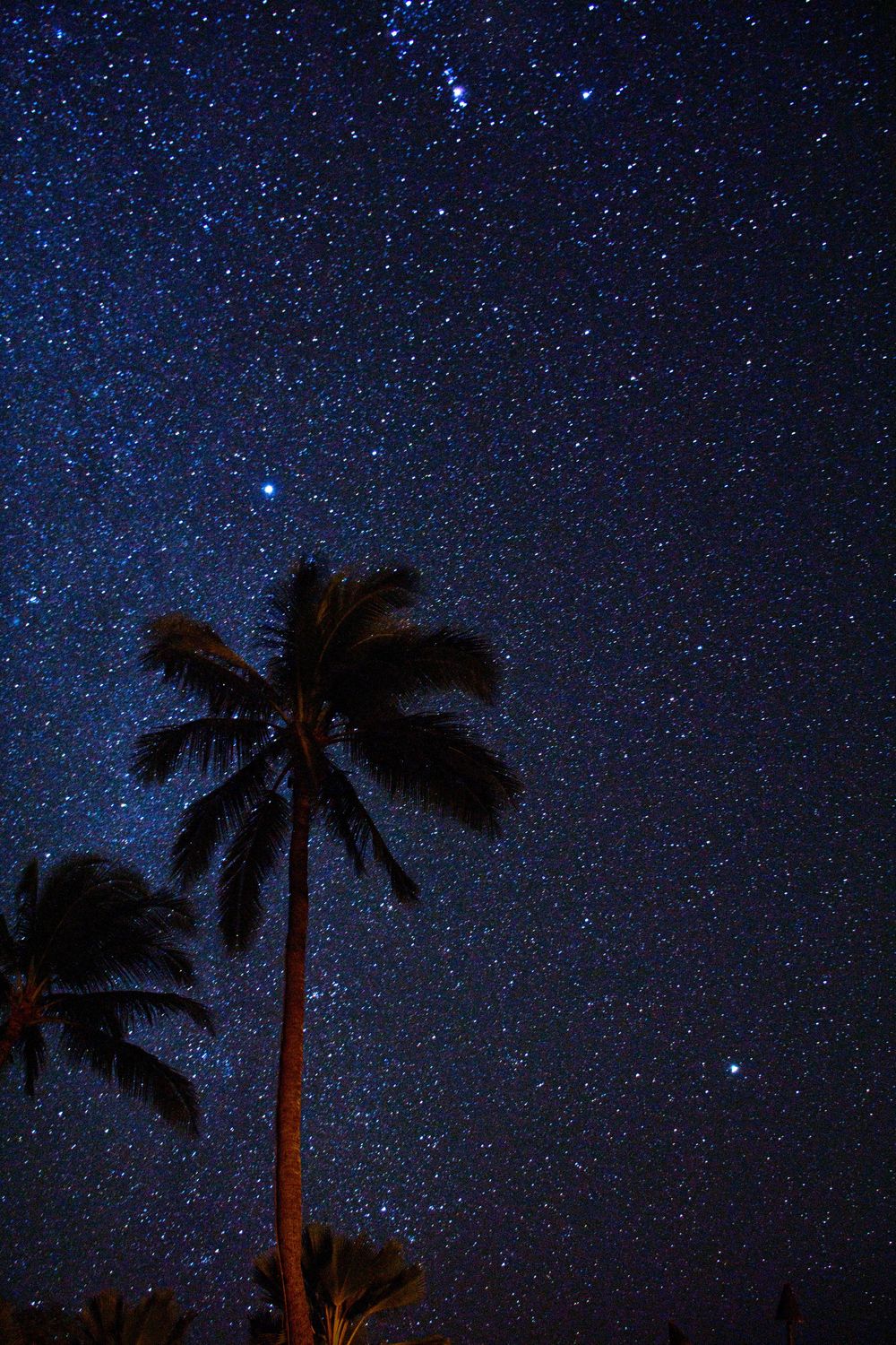 Stargazing in Lanai, Hawaii - image 1 - student project