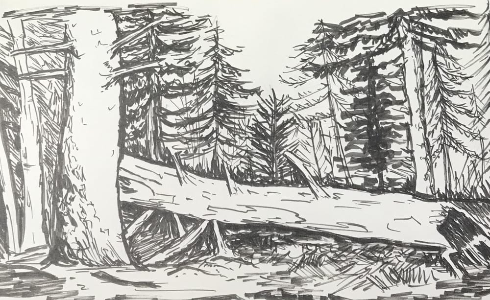 Trees - image 3 - student project