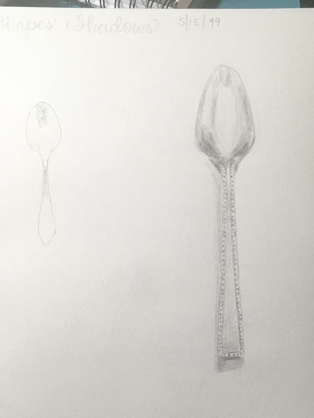 Observation Class - image 2 - student project