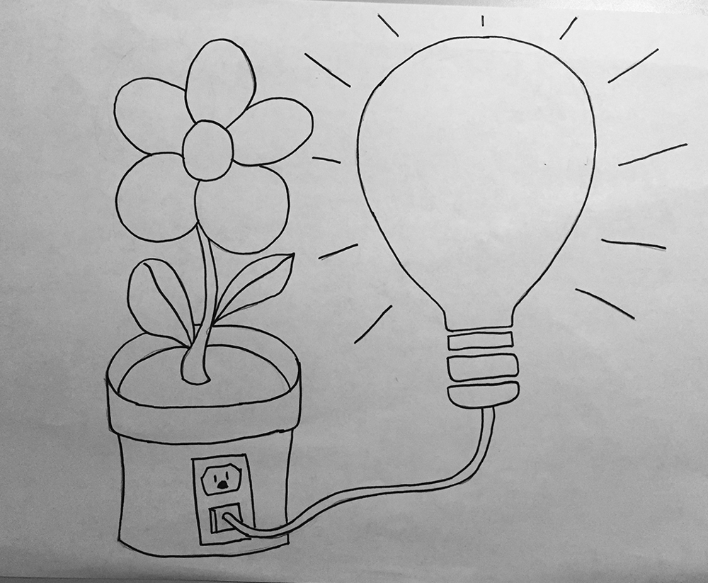 Flower Power Illustration Skillshare Student Project