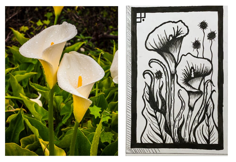 Arum Lily Linoprint - image 1 - student project