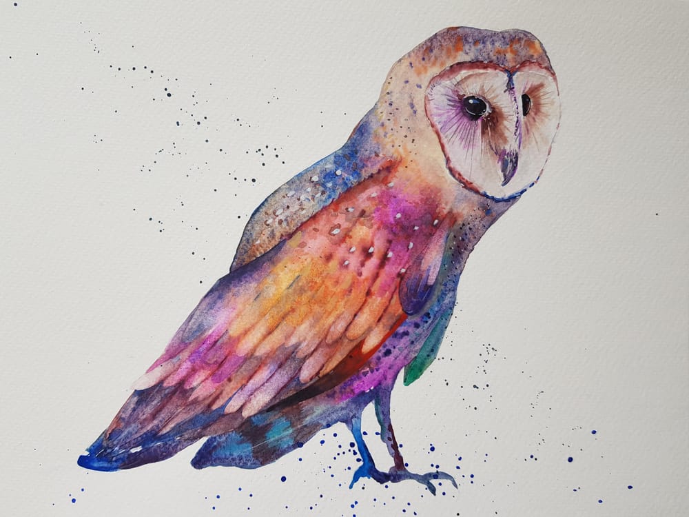 Rainbow Owl - image 1 - student project