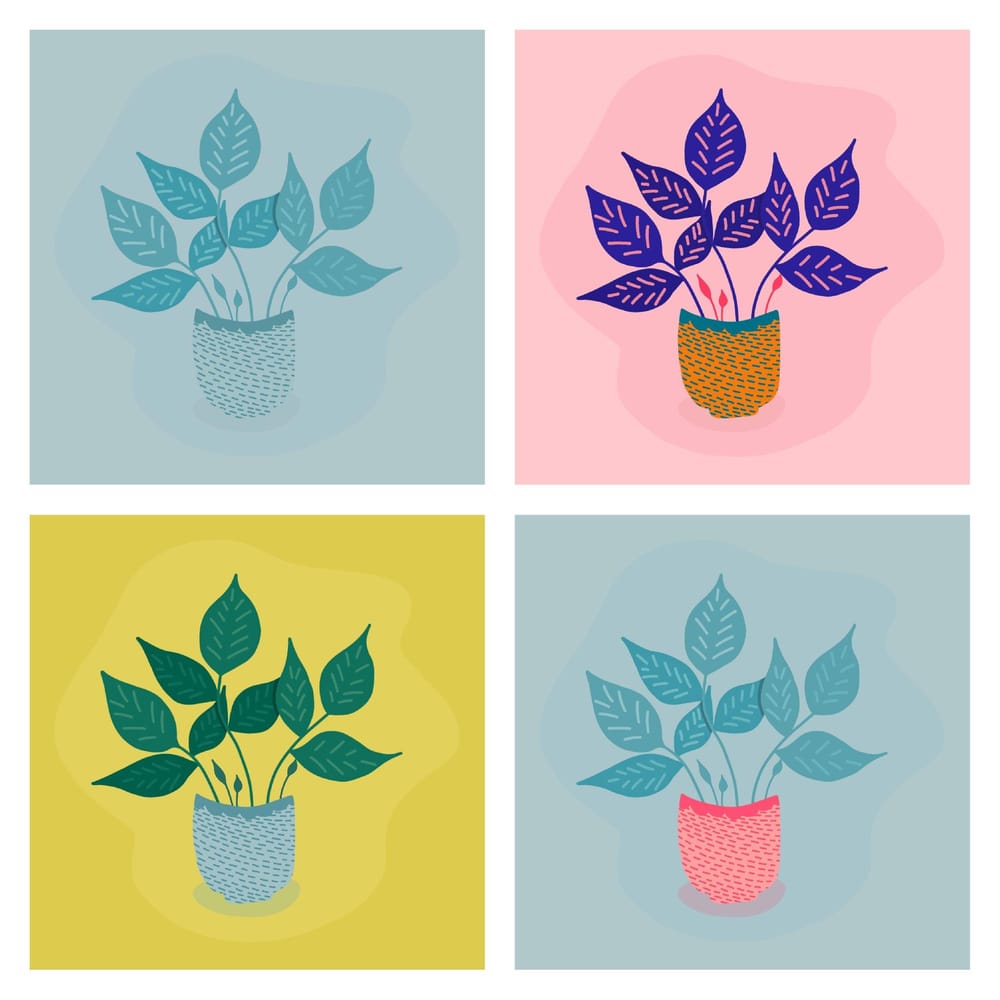 Exploring Colour - image 1 - student project