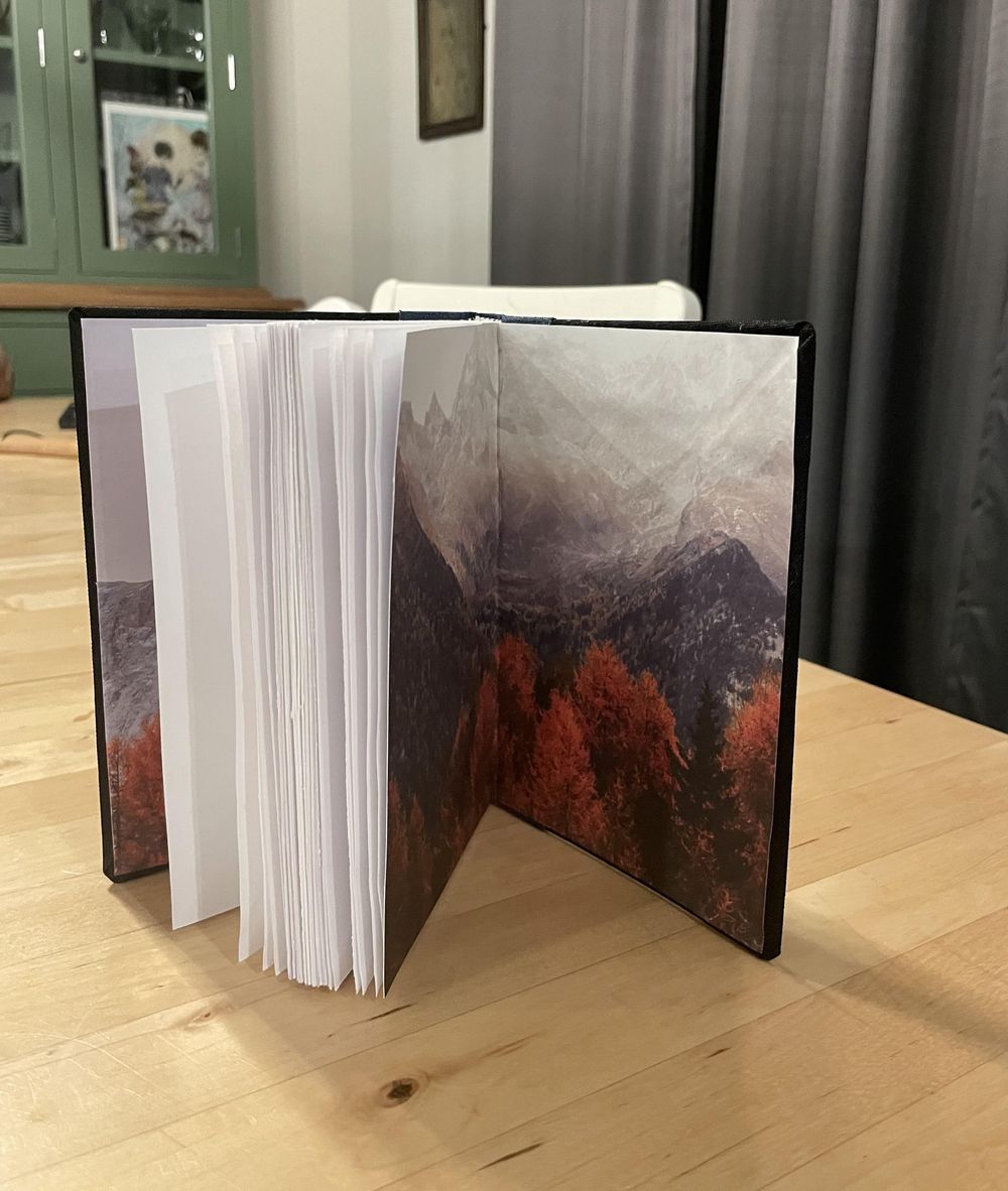 Two Homemade journals - image 1 - student project