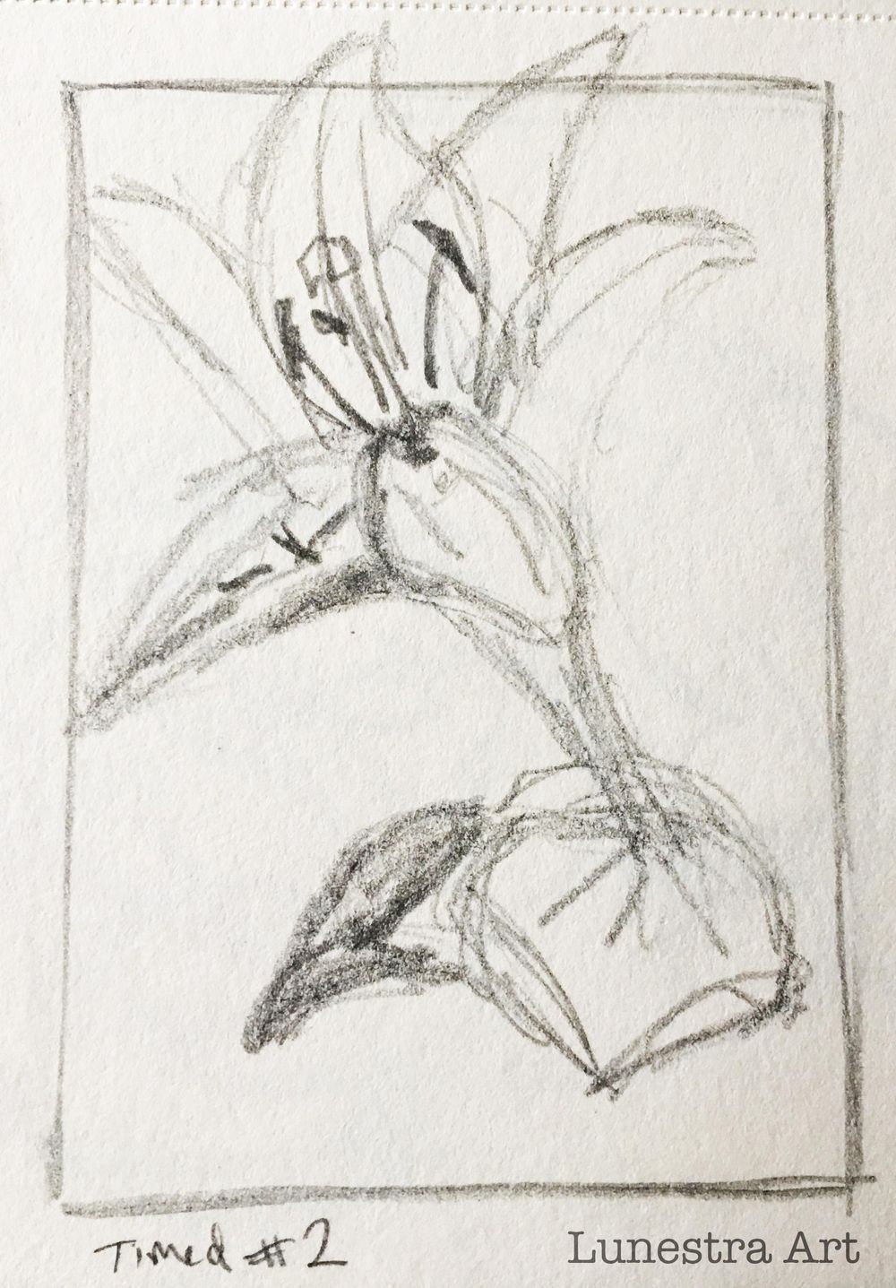 Sketch Demos - image 1 - student project