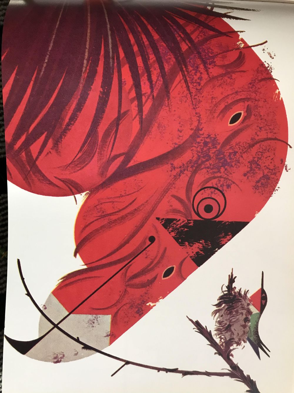 Still life with alive plants and bird - image 1 - student project