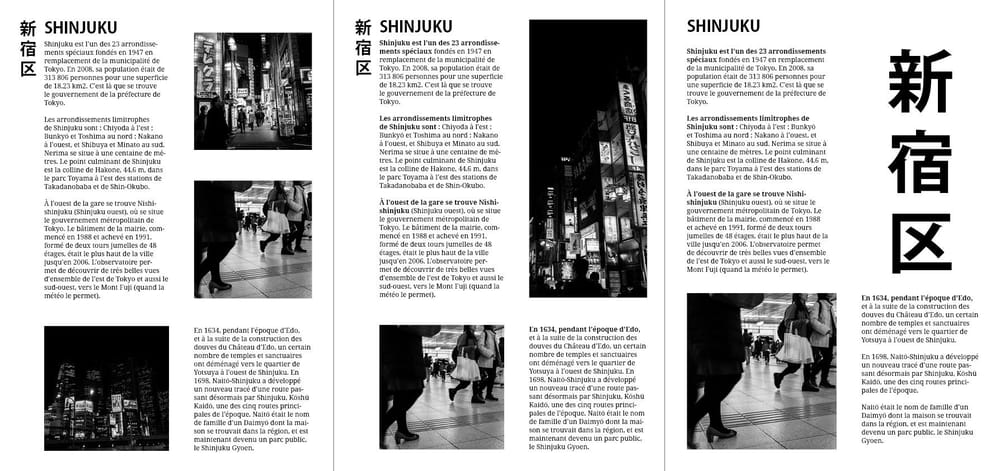 Tokyo / Shinjuku - image 2 - student project