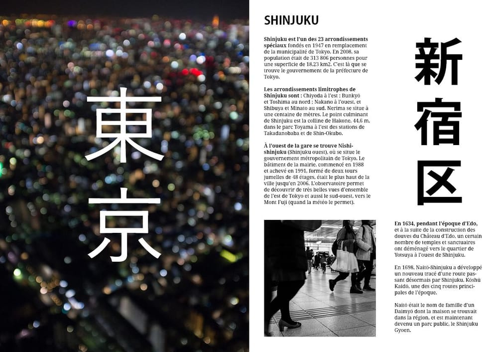Tokyo / Shinjuku - image 3 - student project