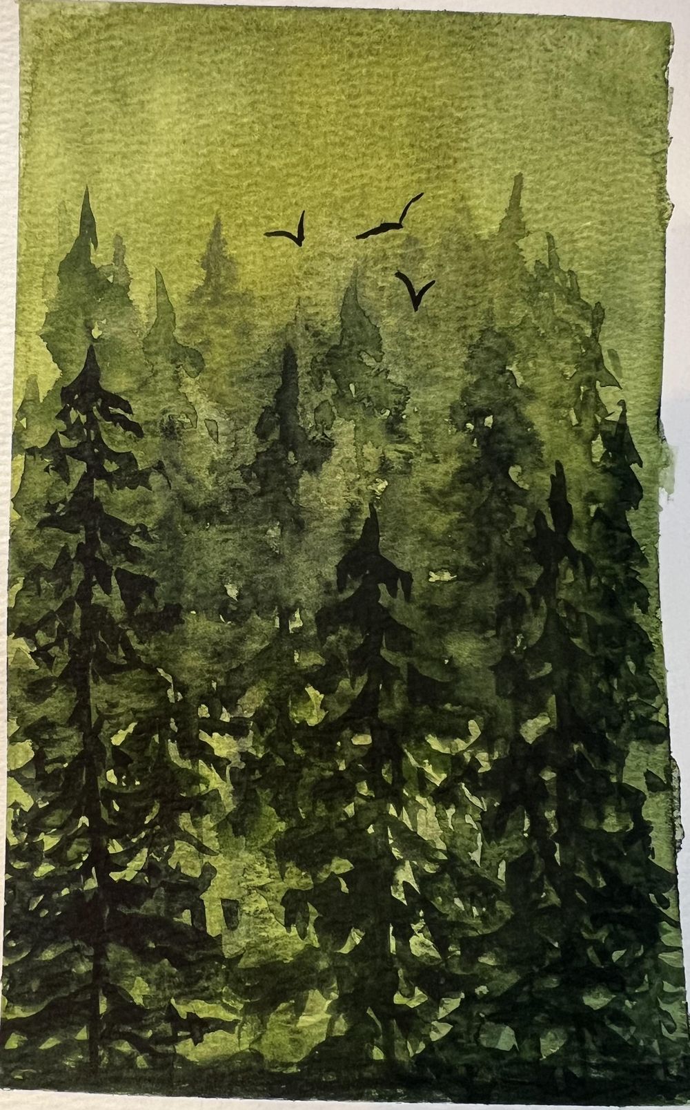 Amber - forests and trees - image 5 - student project