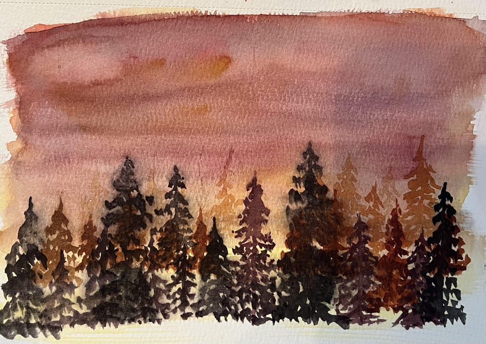 Amber - forests and trees - image 4 - student project