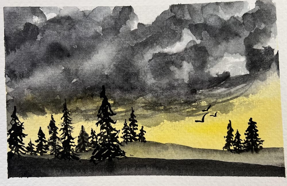 Amber - forests and trees - image 1 - student project