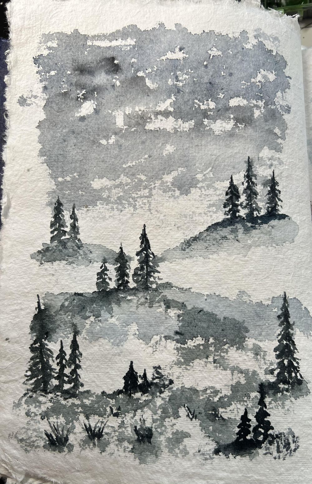 Amber - forests and trees - image 6 - student project