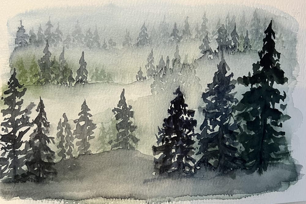 Amber - forests and trees - image 3 - student project