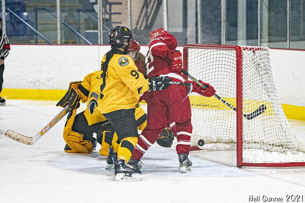 Example Project: Hockey - image 9 - student project