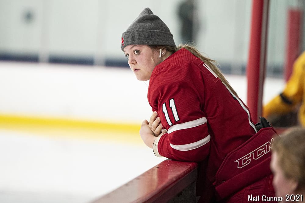 Example Project: Hockey - image 8 - student project