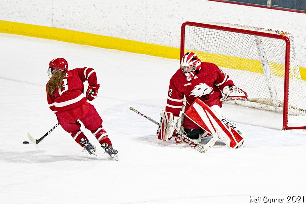 Example Project: Hockey - image 4 - student project