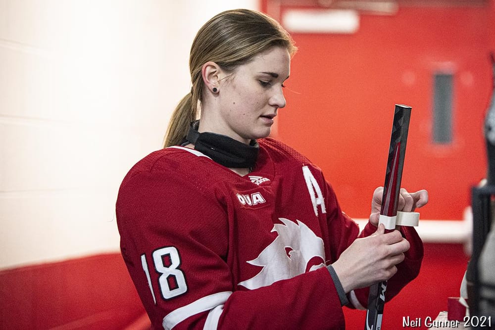 Example Project: Hockey - image 2 - student project