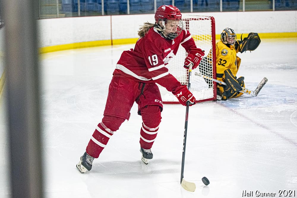 Example Project: Hockey - image 7 - student project