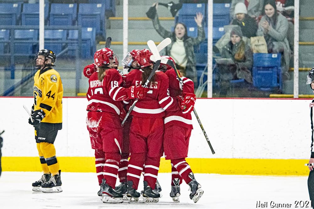 Example Project: Hockey - image 10 - student project
