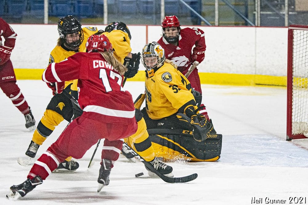 Example Project: Hockey - image 3 - student project
