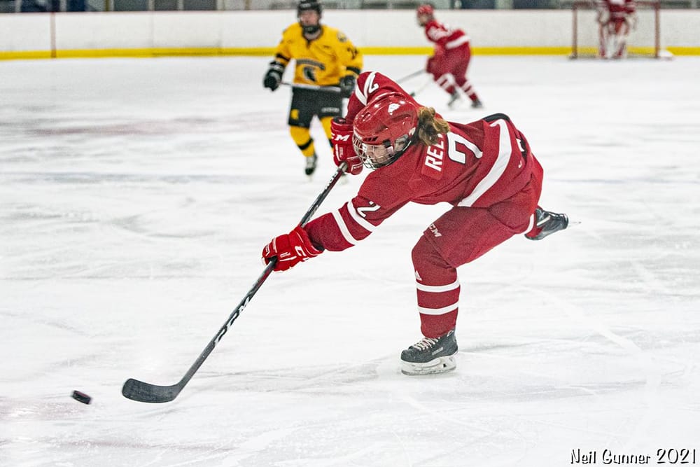 Example Project: Hockey - image 6 - student project