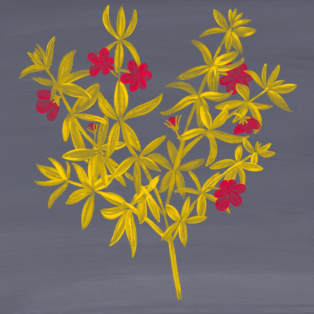 Florals - image 3 - student project