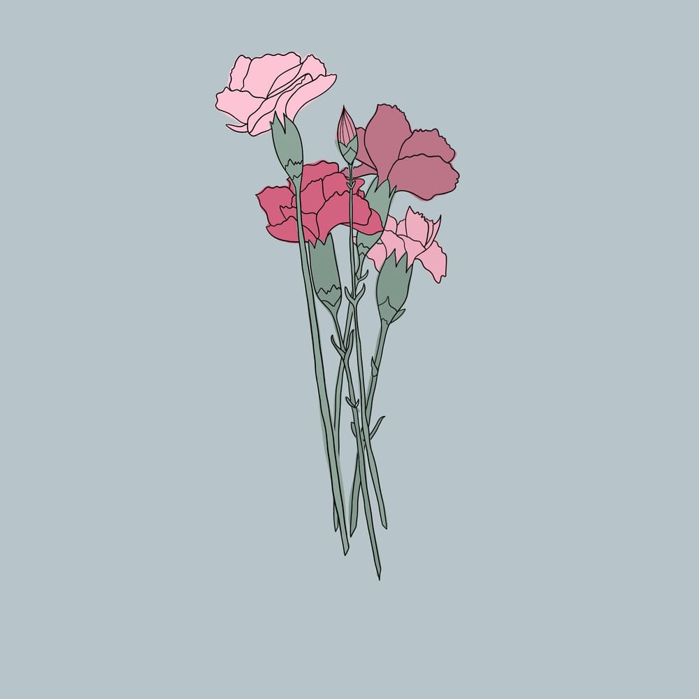 Illlustrations - image 2 - student project