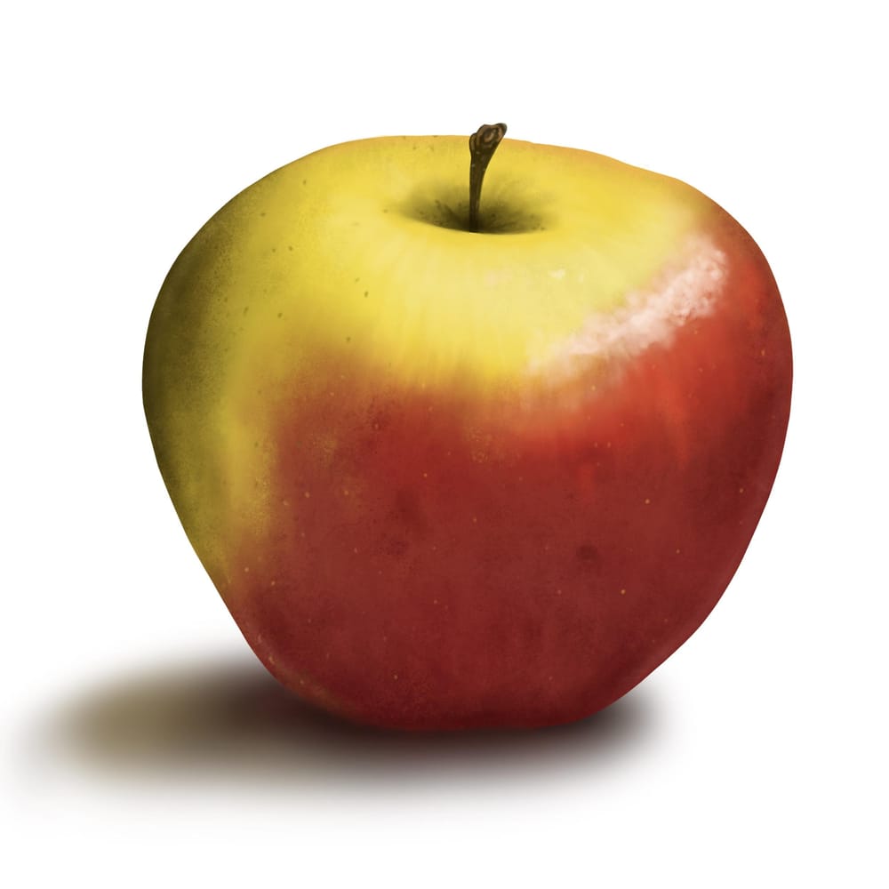 Apple Paint-along - image 1 - student project