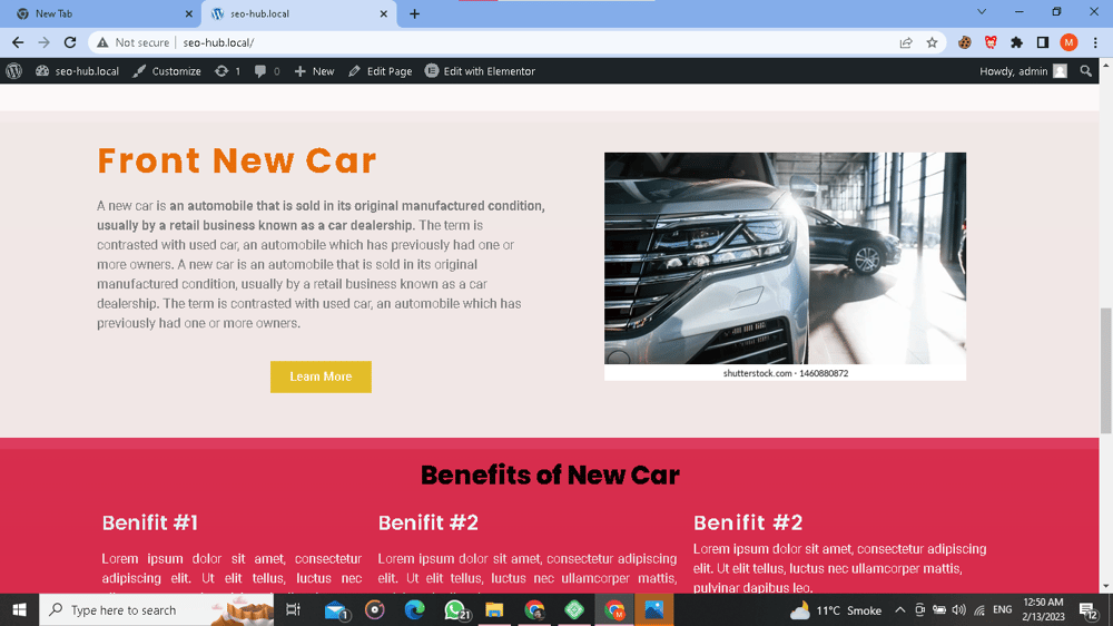 Building Landing Page by Using Elementor pro in Wordprss - image 3 - student project