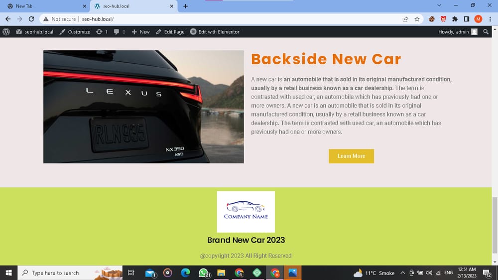 Building Landing Page by Using Elementor pro in Wordprss - image 4 - student project