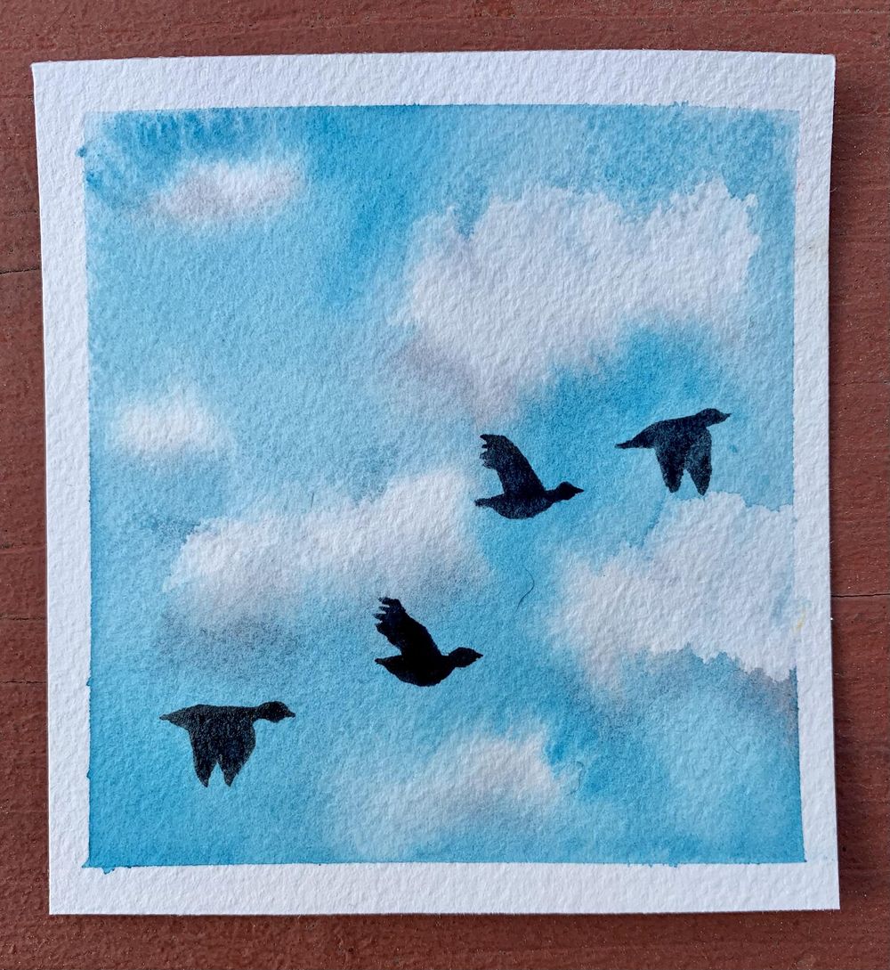 Birds Challenge - image 3 - student project