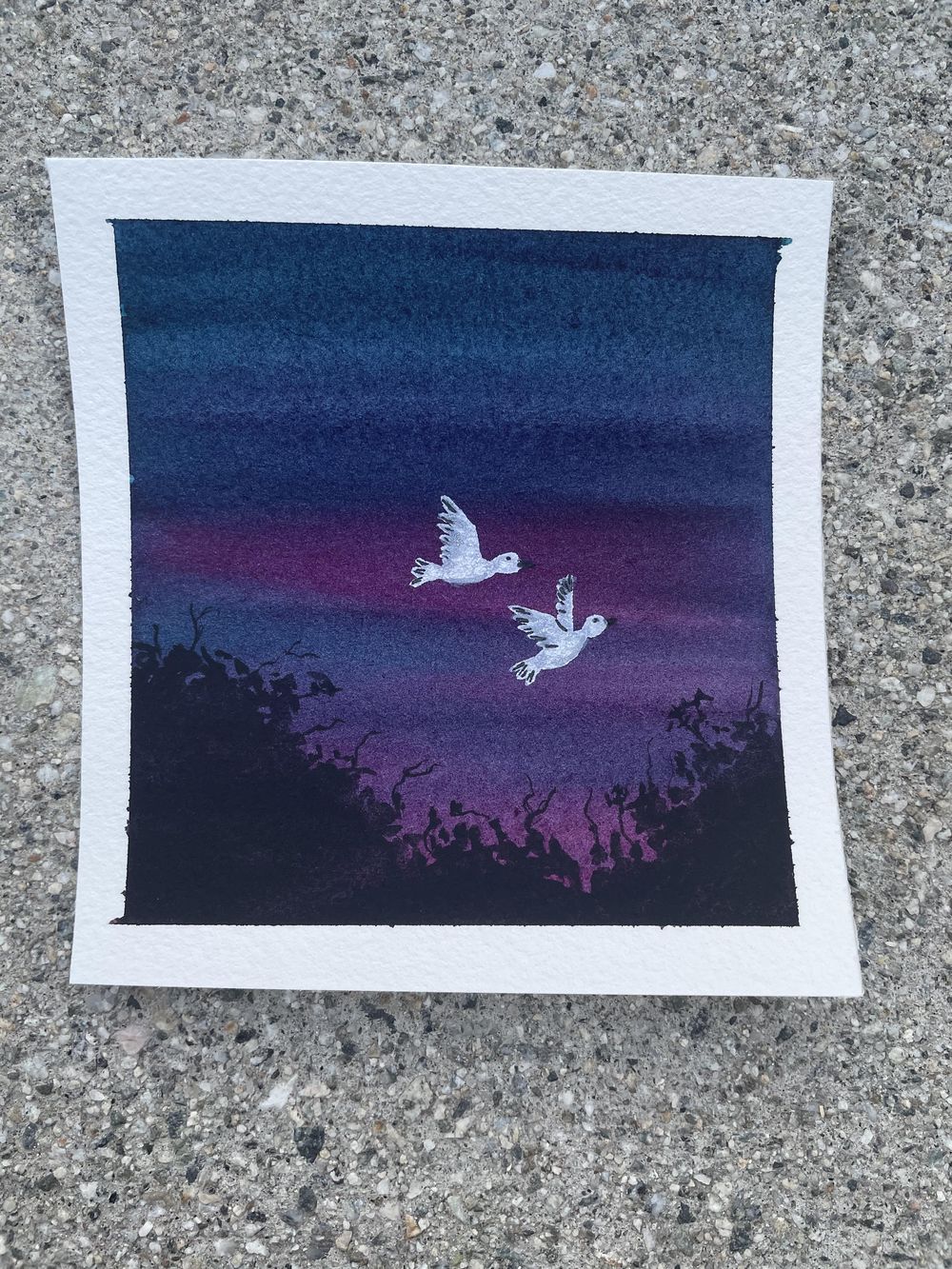 Birds Challenge - image 1 - student project
