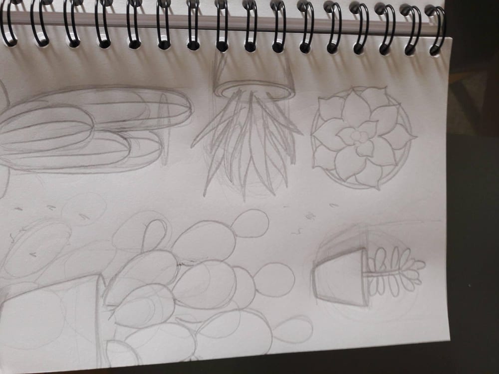 Cactus and indoor plants - image 1 - student project