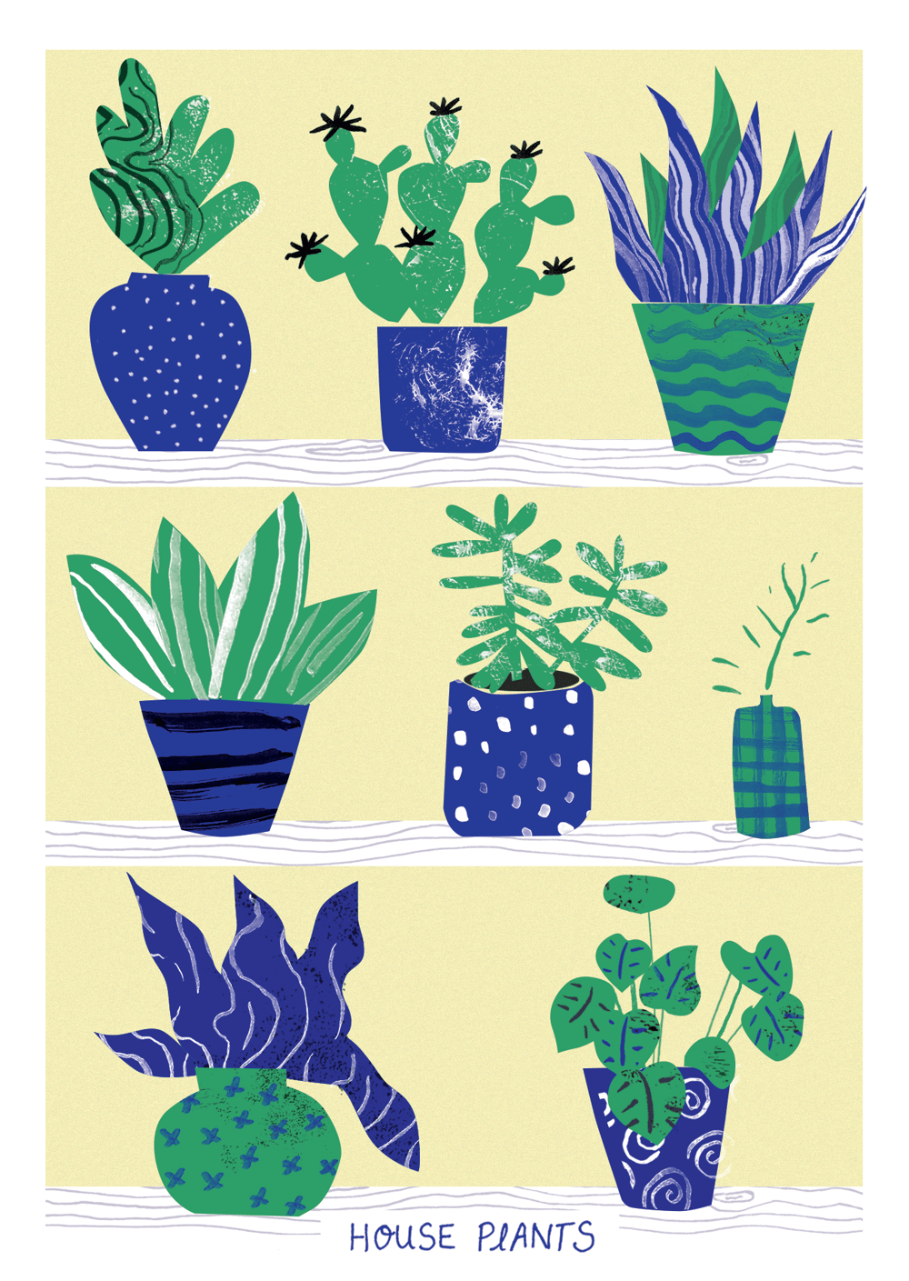 Cactus and indoor plants - image 5 - student project