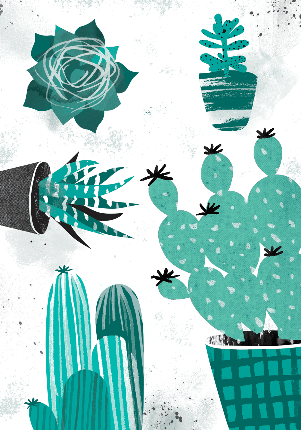 Cactus and indoor plants - image 3 - student project
