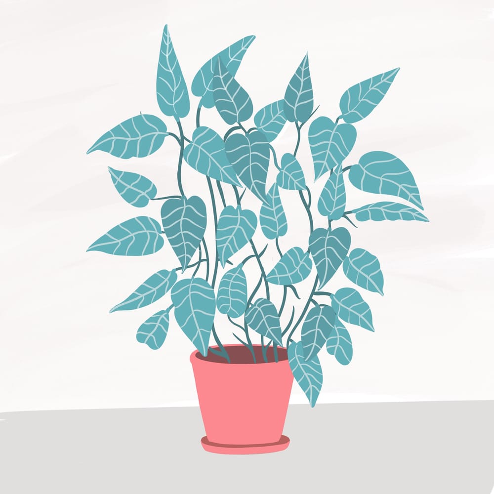 Cats and plants! - image 8 - student project